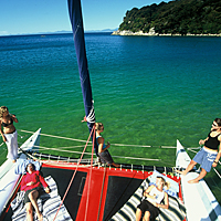 Sailing, Walking, and Seal Watching in Abel Tasman National Park