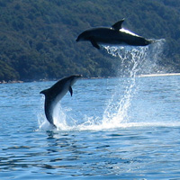 2-Day Sailing Tour in Abel Tasman National Park