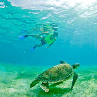 Snorkel Xtreme Cancun