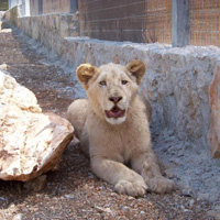 Paphos Bird and Animal Park