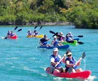 Kayak Eco-Adventure