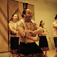 Auckland Museum - Maori Cultural Performance and Gallery Tour