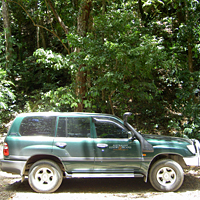 Daintree 4WD Wanderer Excursion