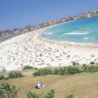 Sydney Highlights Small Group Half Day Tour
