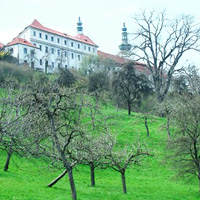 Prague Guided Walk: From the Old Town to Malá Strana