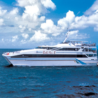 Beach Club Cruise