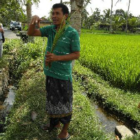 Paon Bali Dinner Cooking Class and Sunset Padi Field Tour