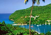 Soufriere Island Delight