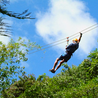 Rainforest Canopy Zipline Adventure
