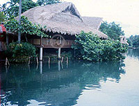 Villa Escudero Tour
