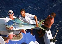 Share Fishing Adventure
