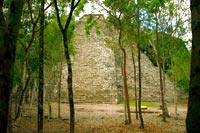 Coba Mayan Encounter