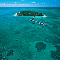 Great Barrier Reef Cruise with Snorkeling or Glass-Bottom Boat Tour