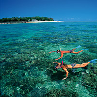 Reef Snorkel and Kuranda Train & Skyrail Combo (Full Day)