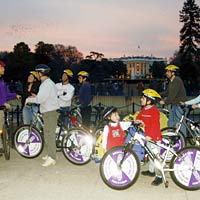 Washington, D.C., Monuments at Night Guided Bike Tour