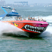 Codzilla Thrill Boat Ride
