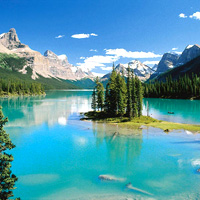 Explore Jasper Tour