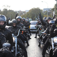 Harley Davidson Chauffeured Passenger Day Tour to the West Coast Gates of Haast
