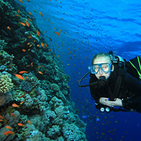 Discover Scuba Diving