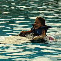 Dolphin Kids