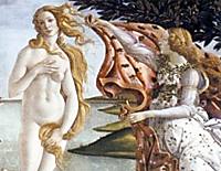 Guided Visit of the Uffizi