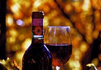 Chianti Region Wine Tasting Half-Day Trip