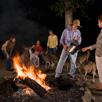 Cairns Tropical Zoo Night Safari with Barbecue Dinner and Optional Transfers