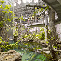 California Academy of Sciences General Admission