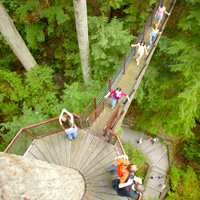 Capilano Suspension Bridge Park