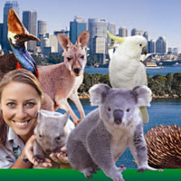 Hop-On Hop-Off Sydney Harbour Cruise Plus Taronga Zoo