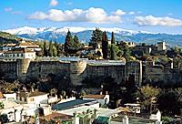 Hop-On, Hop-Off Tour of Granada