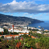Hop-On, Hop-Off Tour of Funchal