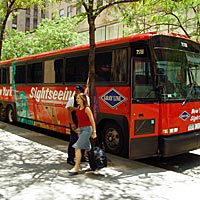 Half-Day City Tour (Multiple Languages)