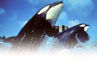 Roundtrip Transportation To/From Southern California Theme Parks