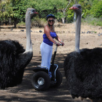 Casela Nature Park Segway Tour
