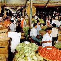 Full-Day Port Louis, and Pamplemousses Garden, and Sugar World Tour with Lunch
