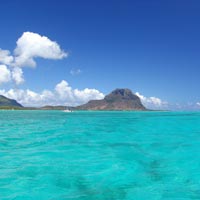 Dolphin-Watching Cruise