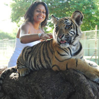 Walk with Lions at Casela Nature Park
