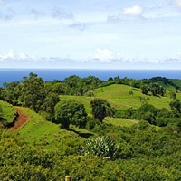 Half-Day Quad Biking at Frederica Nature Reserve (South) with Lunch