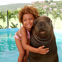 Sea Lion Encounter at Coral World Ocean Park