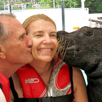 Sea Lion Swim at Coral World Ocean Park