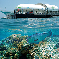 Great Barrier Reef Adventures Day Cruise