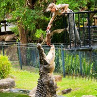 Currumbin Wildlife Sanctuary Day Admission