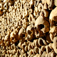 Skip the Line: The Catacombs of Paris Tour