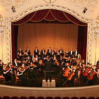Danube Symphony Orchestra Concert with Optional Boat Cruise and Dinner