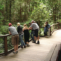 Fraser Island Day Tour