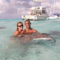 Ultimate Dolphin Swim