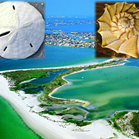 Shelling and Snorkeling on Shell Island