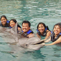 Dolphin Quest Encounter