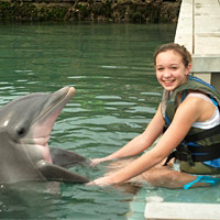 Dolphin Quest Discover Dolphins